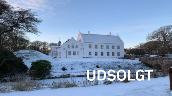 1024x576 Arrangementsbillede web NRV_Gåtur_Udsolgt