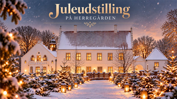 1024x576 Arrangementsbillede web NRV_Juleudstilling