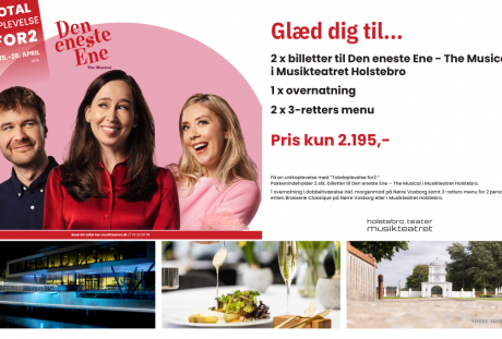 Den_Eneste_Ene_266x365_JP_TRYK.pdf (1100 x 680 px)